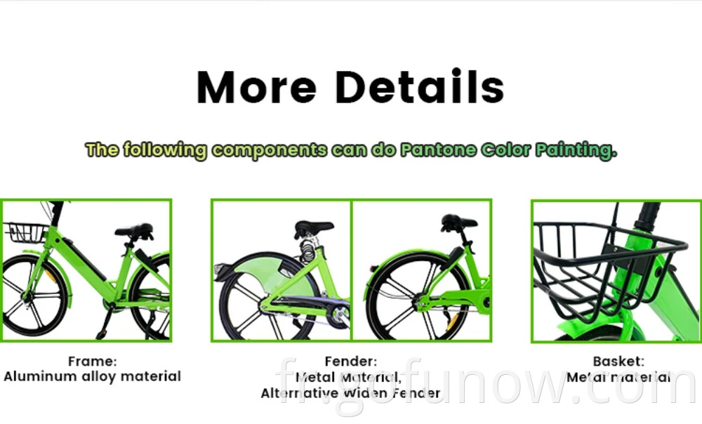 Gofunow Electric Bikes for Rental(9)